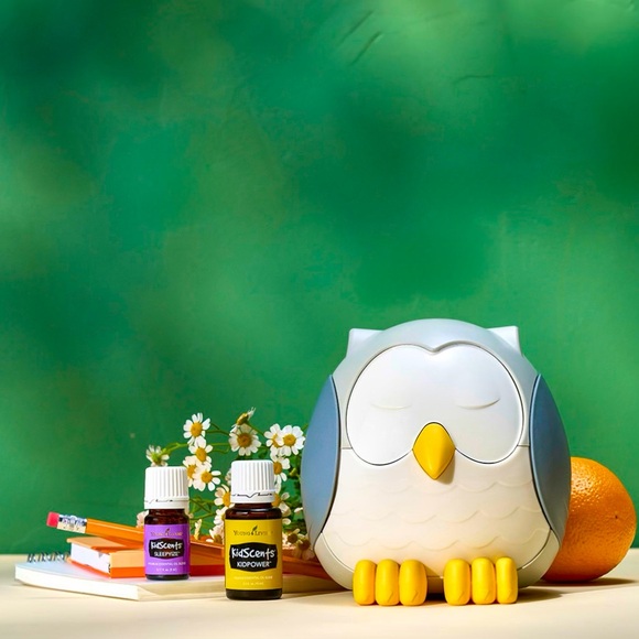 ❤️Snowy the Owl Feather the Owl children's diffuser. - Picture 8 of 8